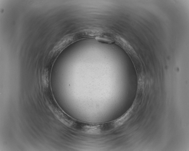 X0000085010170200703191125