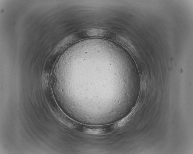 X0000085010171200703191125