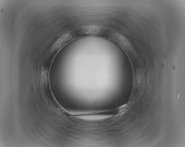 X0000085010172200703191125