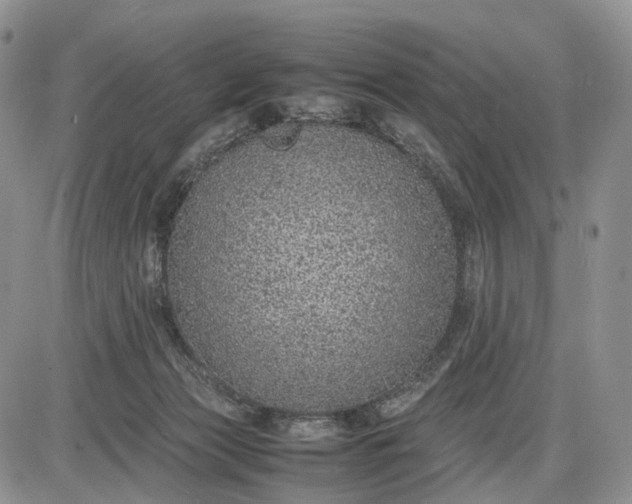 X0000085010173200703191125