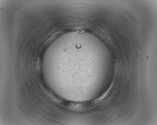 X0000085010174200703191125