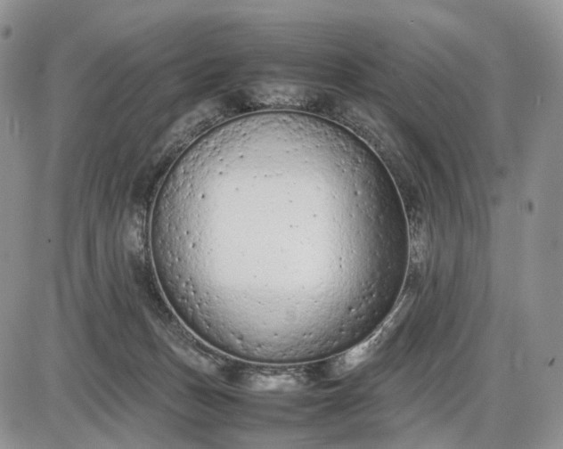 X0000085010175200703191125