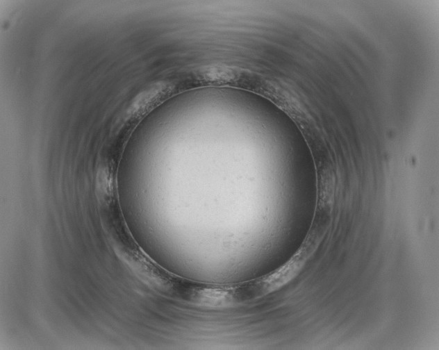 X0000085010176200703191125