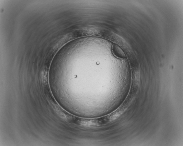 X0000085010177200703191125