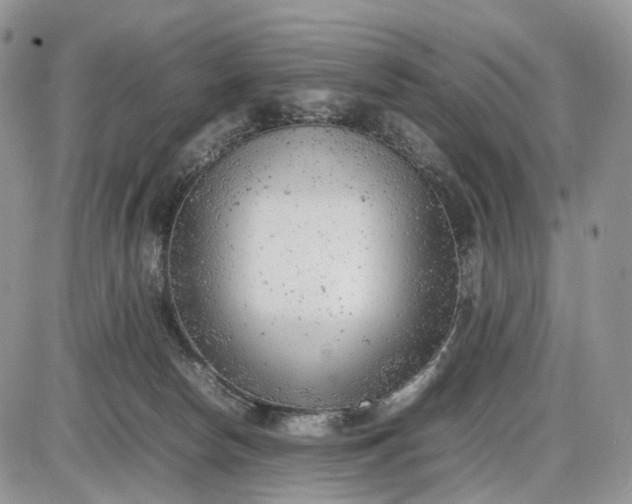 X0000085010178200703191125