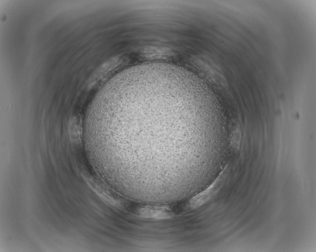 X0000085010179200703191125