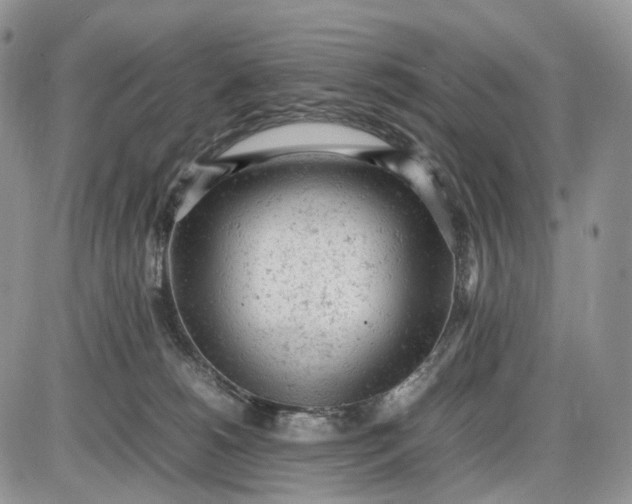 X0000085010180200703191125