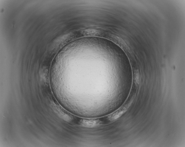 X0000085010181200703191125