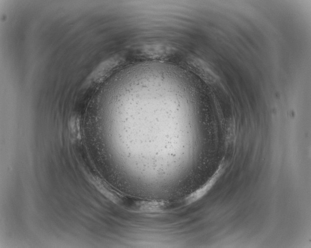 X0000085010182200703191125