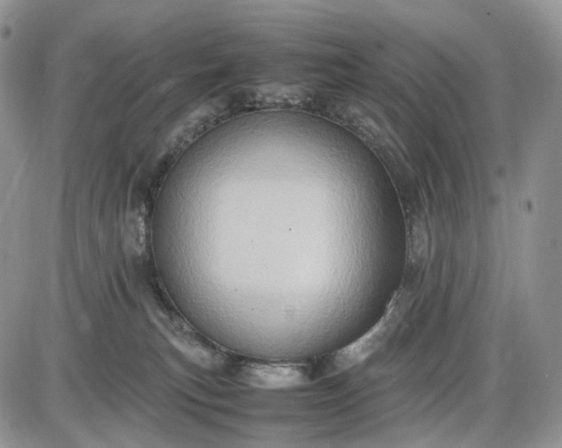 X0000085010183200703191125