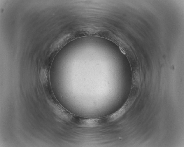 X0000085010184200703191125