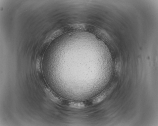 X0000085010185200703191125