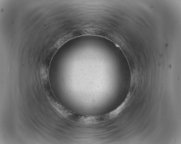 X0000085010186200703191125