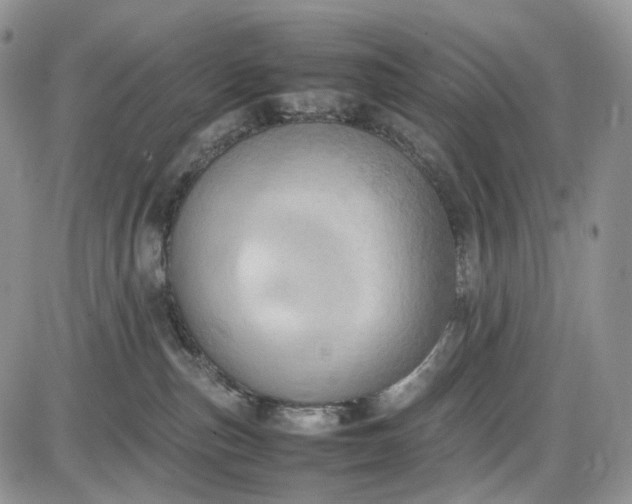 X0000085010187200703191125