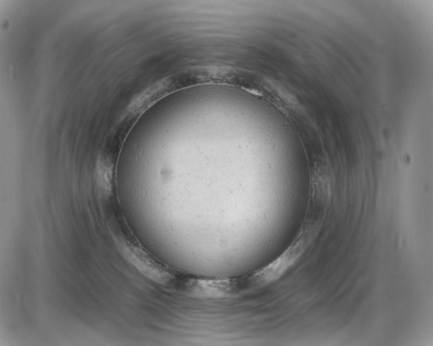 X0000085010188200703191125