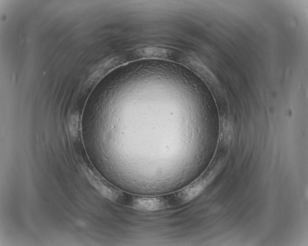 X0000085010189200703191125