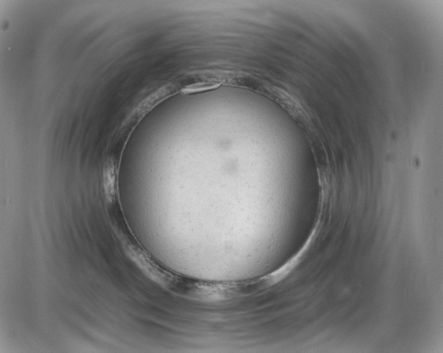 X0000085010190200703191125