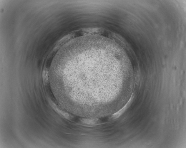 X0000085010191200703191125