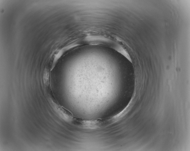 X0000085010192200703191125