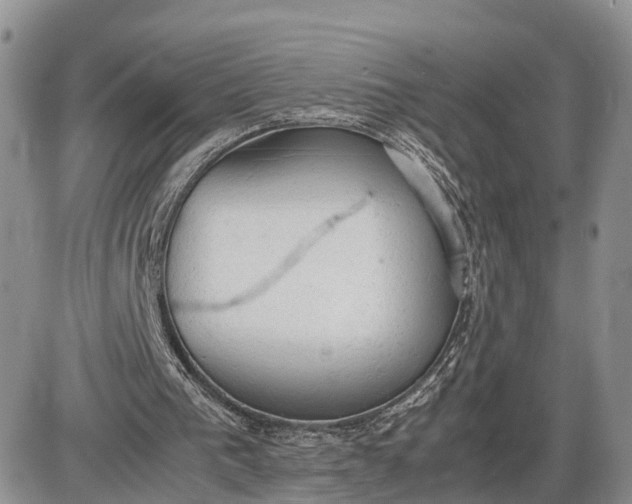 X0000085010193200703191124