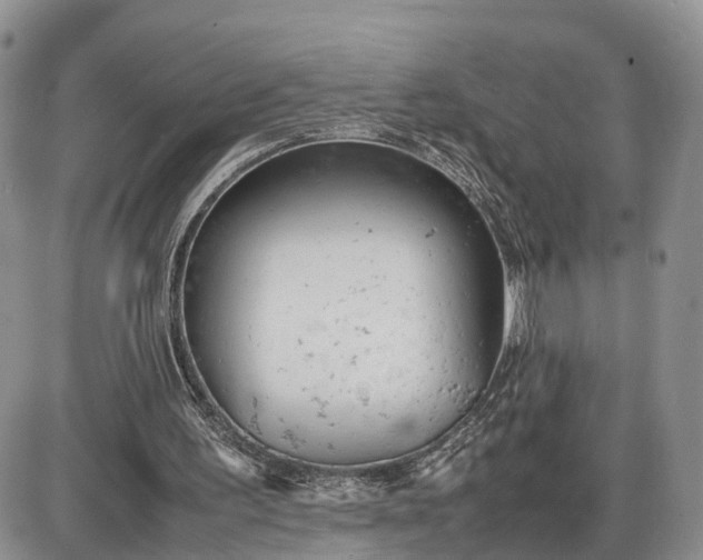 X0000085010195200703191124