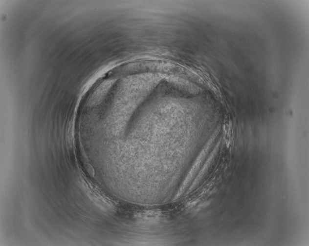 X0000085010196200703191124