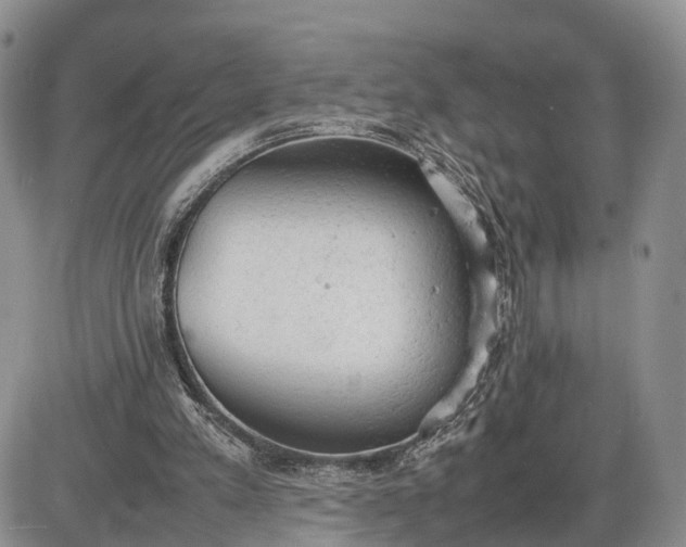 X0000085010197200703191124