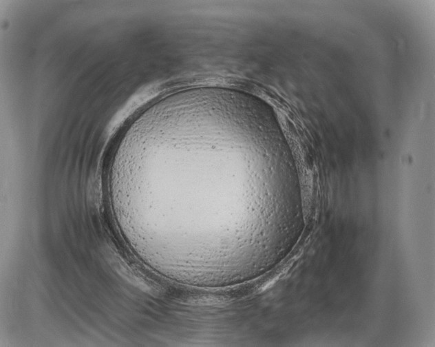 X0000085010198200703191124