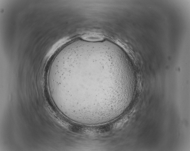 X0000085010199200703191124