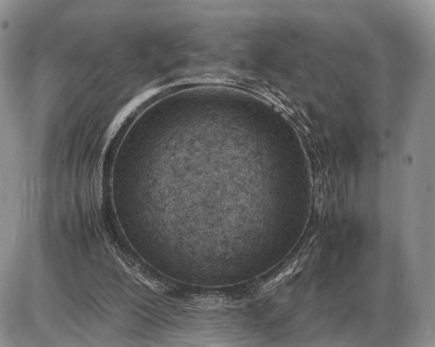 X0000085010200200703191124