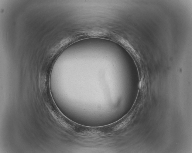 X0000085010201200703191124