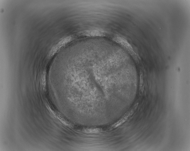 X0000085010202200703191124