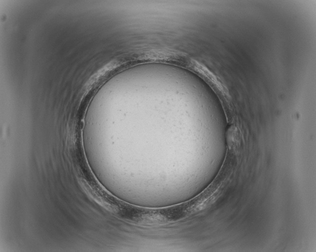 X0000085010203200703191124