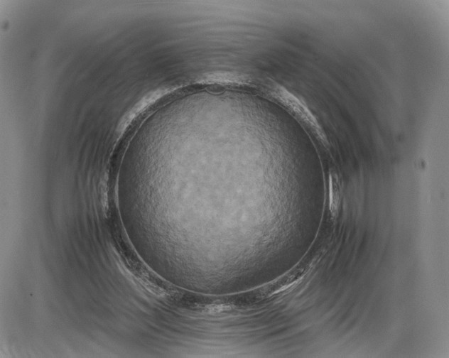 X0000085010204200703191124