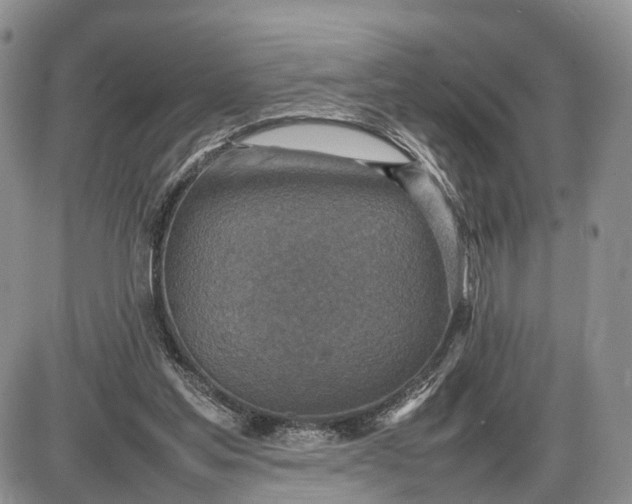 X0000085010205200703191124