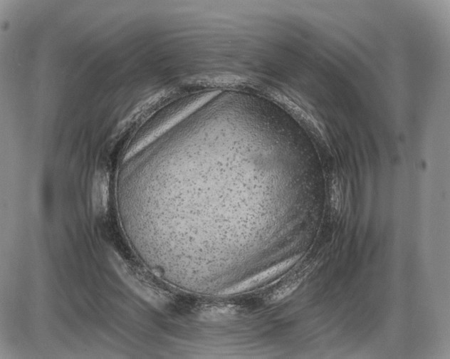 X0000085010206200703191124