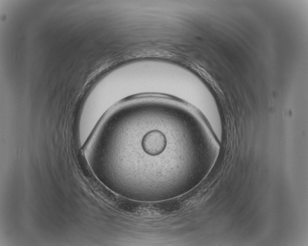 X0000085010207200703191124