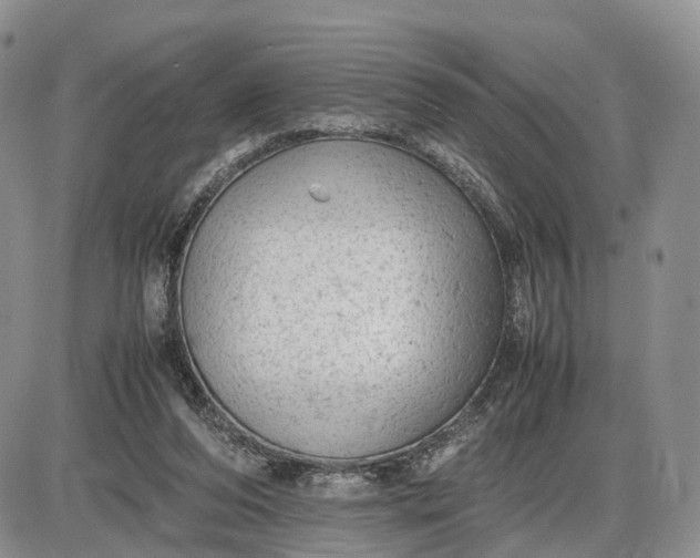 X0000085010208200703191124