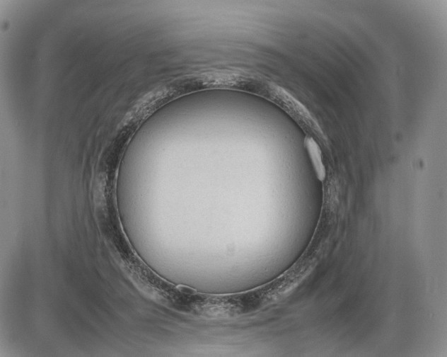 X0000085010209200703191124