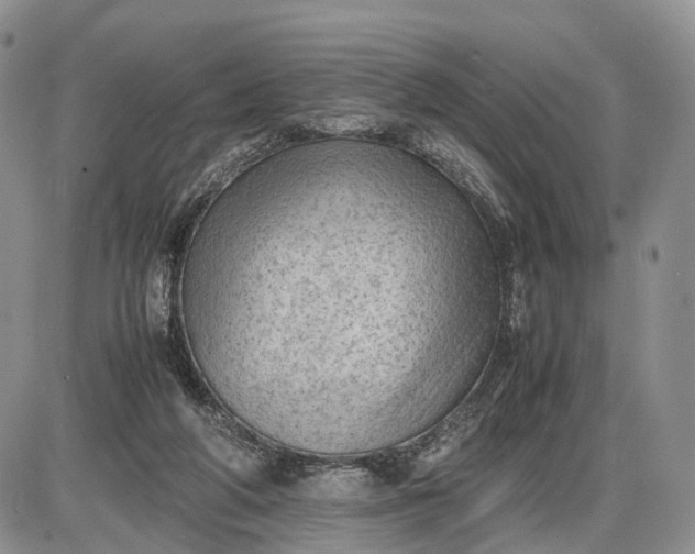 X0000085010210200703191124