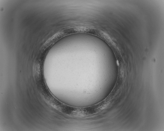 X0000085010211200703191124