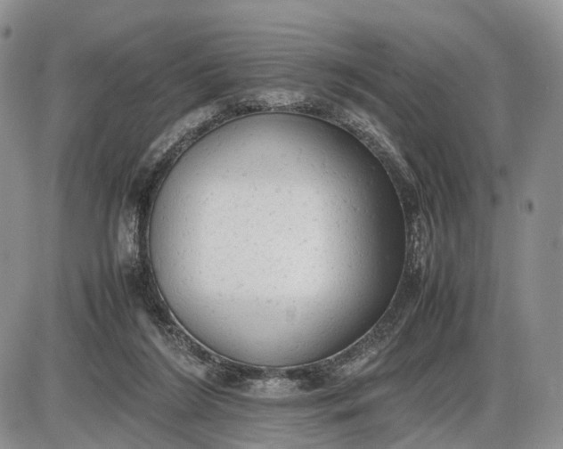 X0000085010212200703191124