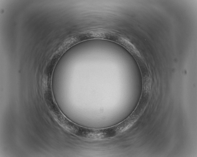 X0000085010213200703191124