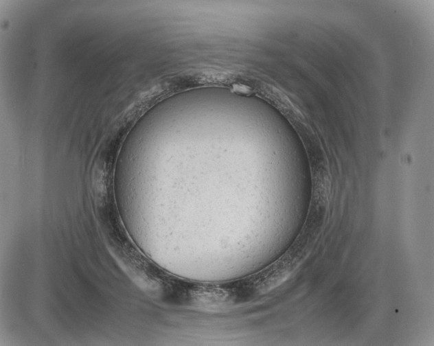 X0000085010215200703191124