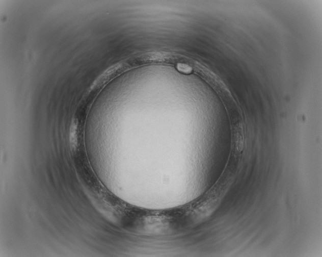 X0000085010216200703191124