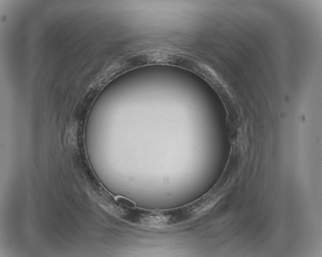 X0000085010217200703191124