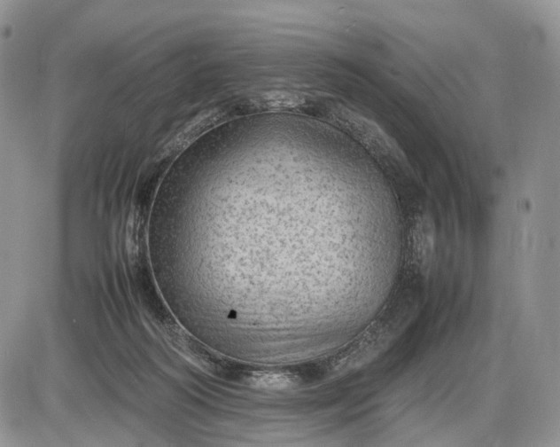 X0000085010218200703191124