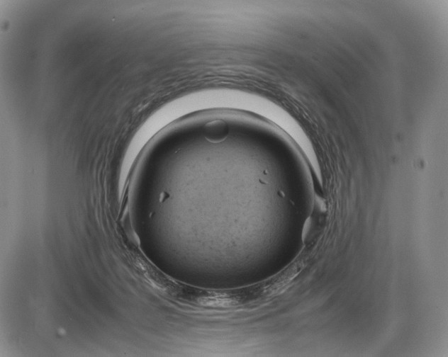 X0000085010219200703191124