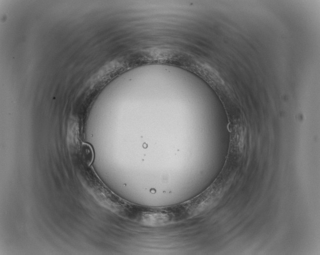 X0000085010220200703191124