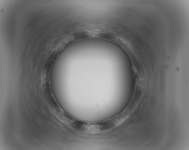 X0000085010221200703191124